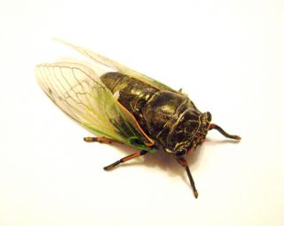 RARE Yujin Kaiyodo Giant Cicada Locust Beetle Bug Insect Figure