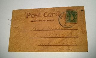 1907 Burwell Nebraska Dancing Bears USA Colored Flag Leather Post Card 