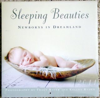 2011 Sleeping Beauties Wall Calendar Newborns Dreamland