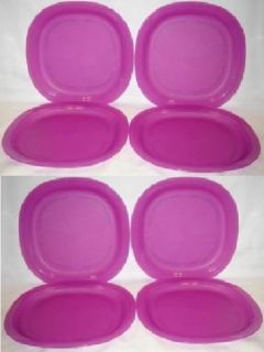 Tupperware 9 5 Impressions Family Microwave Dinner Lunch Plates 8PC 