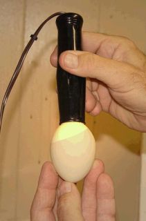 Cool Lite Incubator Egg Candler Tester Hatching Eggs
