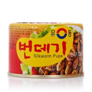 Canned Silkworm Pupae Korean Food Noodle Snack Kimchi Tea Ginseng 