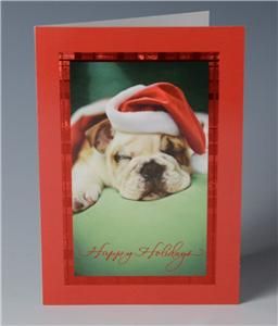 Dog Lovers Bulldog Asleep in Santa Hat Christmas Cards 6