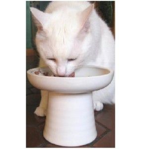 Raised Pottery Cat Wet Canned Food Dish Bowl Eggshell Reduces Whisker 