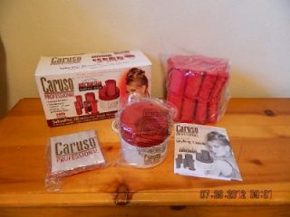 Richard Caruso Professional Molecular Steam Hairsetter Hot Rollers 