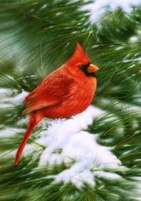 Winter Snowy Snow Pine Cardinal Flag