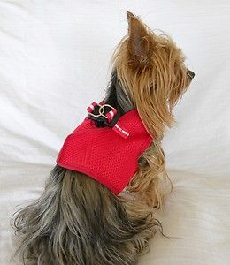 Dog Cat Clothing Apparel Harness Vest Leash New Red Mesh Velcro Buckle 