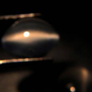 80 cts Best Natural Oval Catseye Moonstone Pair