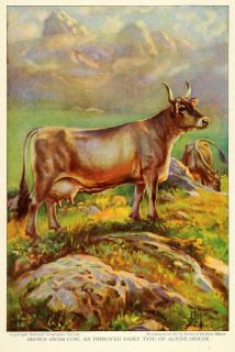 1925 Print Brown Swiss Cow Cattle Alpine Edward Herbert Miner Wildlife 