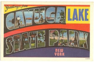 Cayuga Lake State Park NY Large Letter Linen Postcard Circa 1940S 