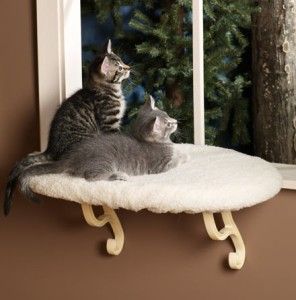 unheated kitty sill for window cat bed perch ortho