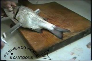   Fillet Fish fast with Electric Knife   Walleye, Panfish, Catfish, Bass