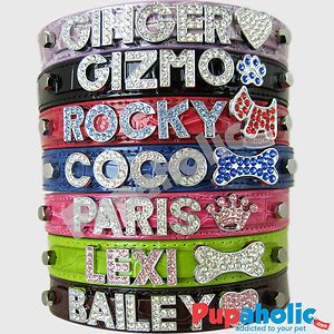 Croc Dog Cat Pet Personalized Collar Free Name