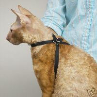 Grooming Adjustable Cat Bath Arm Harness Restraint Cats