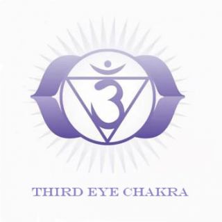 the sixth chakra is known as the brow chakra the third eye chakra or 