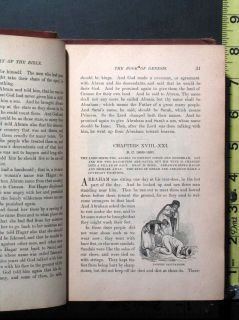   of The Bible Childrens Book by Foster with 300 Illustrations
