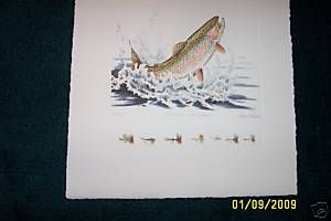 Fish Print by Dave Chapple Signed BW