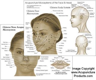 11 double sided laminated face acupuncture chart