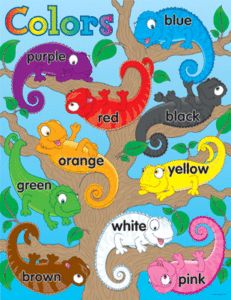 Colors Chameleons Color Poster Classroom Teacher Chart New