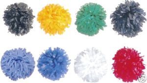 Cheerleading Poms New Youth Sized Cheer Pompons Pom Pon
