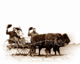 Philip Bros Buffalo Bison Wagon Fort Pierre South Dakota SD Cowboy