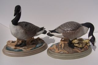  Canada Geese 408 Pair Figurines Gander GOOSE Goslings Birds