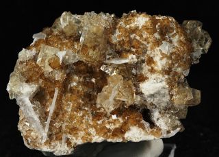 Fluorite Crystals Fine Minerals Clay Center Ohio