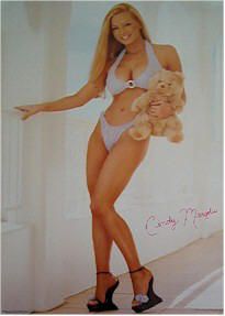 Cindy Margolis Teddy Bear Lingerie Pinup Poster