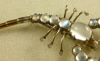 Victorian Silver Moonstone Scorpion Brooch Circa 1900