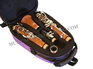 Clarinet is NOT included It is for demonstration purpose only.