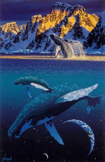  Schim Schimmel The Humpback's World Whales Ed