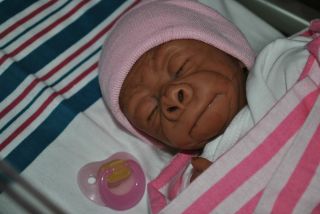  Gorilla Art Doll Real Newborn Baby Monkey Clara from Pearl Kit