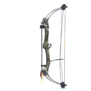  Flite Youth Boys Compound Bow New Sets Bow Youth Bows Archery