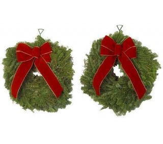 Del. Week 12/10 Set of 2 Fresh Balsam Mini Wreaths by Valerie