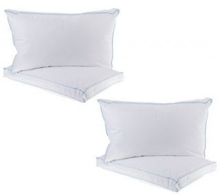 Northern Nights QN S/4 Gusset Eurofeather Pillows —