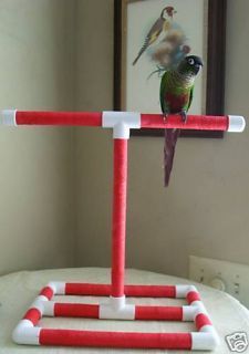 Tabletop Bird Stand Perch Parrot Conure Play Gym