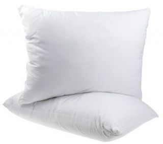 PedicSolutions Set of Two KG VE Foam and Poly Pillows —