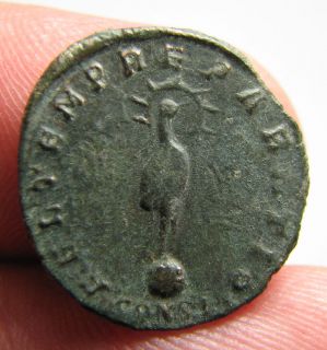 PC2004UK Constantius II AE Monete Romana Roman Coin 13pc