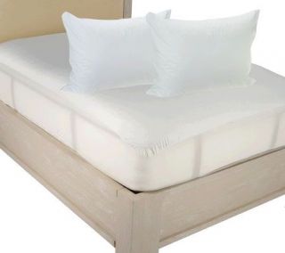 Protect A Bed KG Waterproof Basic Mattress and Pillow Protectors