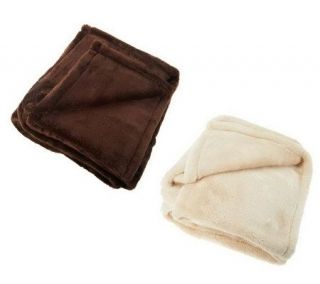 Berkshire Set of 2 Soft Radiance 50x60 Plush Throws —