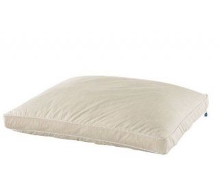 Sleep Number True Silver Standard Size Pillow —