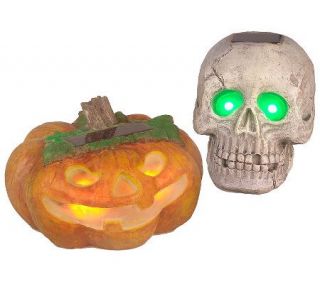 Choice of Solar Powered Pumpkin or Skull Halloween Decoration