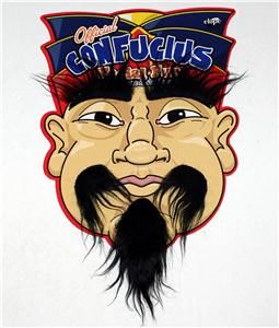 Confucius Chinese Oriental Facial Fur Hair Costume New