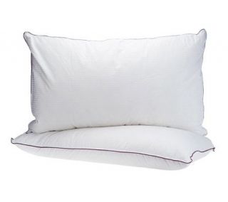 Northern Nights Natural Fill Set of 2 Queen Density Pillows — 