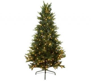 Santas Best 6.5 BlueSpruce LED Tree with Retro Bulbs and 5 Year LMW 