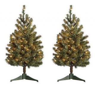 BethlehemLights Set of 2 Prelit Indoor/Outdoor 3 Stake Trees with 