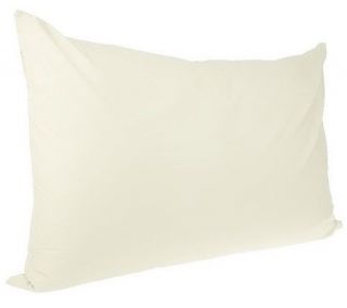 Northern Nights Evendream Big Cozy Pillow with Cover —