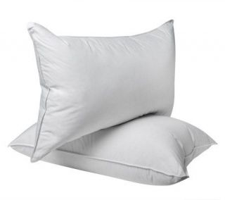 Northern Nights Queen Set of 2 600 FP Natural Down Pillows —
