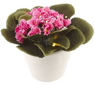 BethlehemLights BatteryOperated 7 Potted African Violet with Timer
