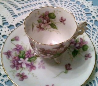 Rossetti China Tea Cup and Saucer Spring Violets Made in Occupied